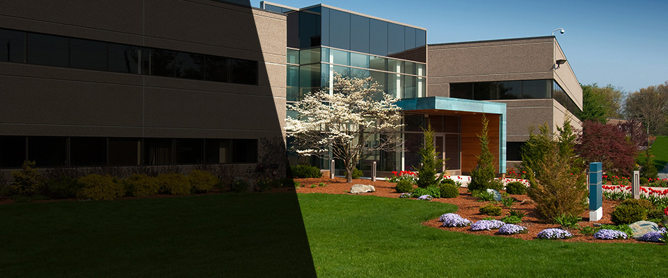 Glen Ellyn Landscapers
