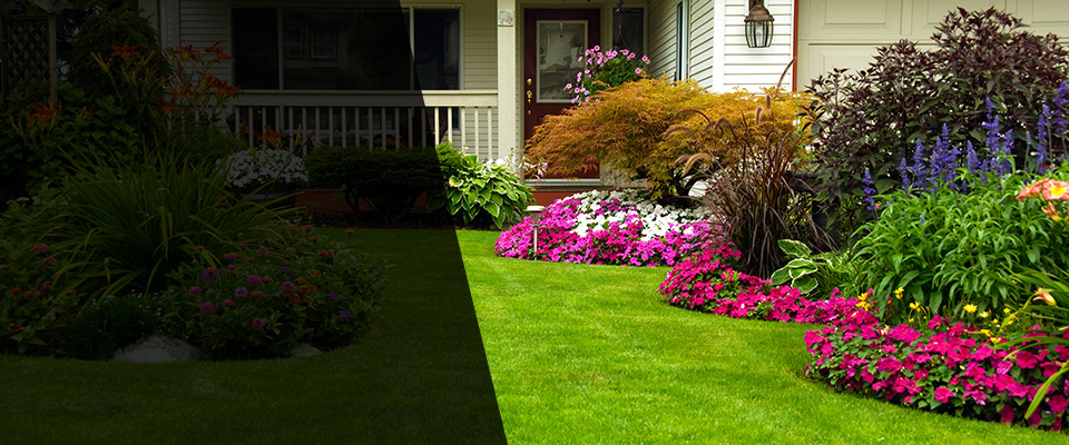 Glen Ellyn Landscapers