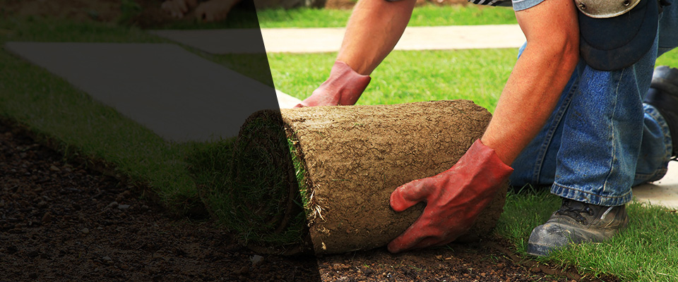 Glen Ellyn Landscapers